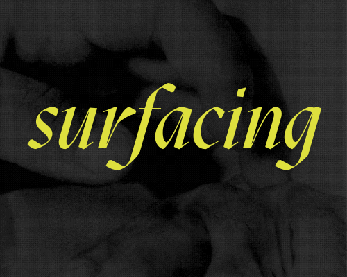 The exhibition title 